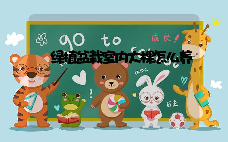  绿植盆栽室内大棵怎么养